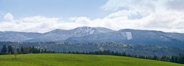 Green field and panorama of Bavarian Alps clipart