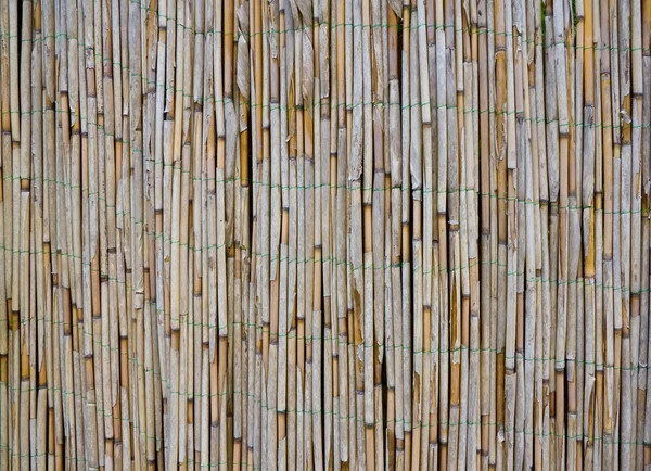 Vieille texture de bambou / roseau — Photo