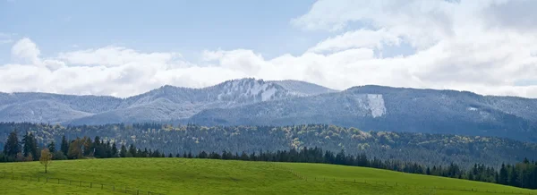 Grüne Wiese und Alpenpanorama — Stockfoto