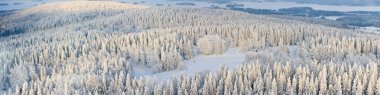 Panorama of winter Finland clipart