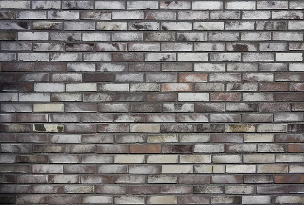 Mur z cegły ceramiczne — Zdjęcie stockowe