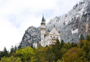 Almanya 'daki Neuschwanstein kalesi