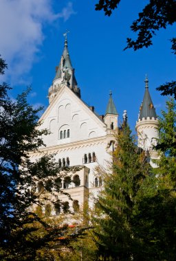 Almanya 'daki Neuschwanstein kalesi