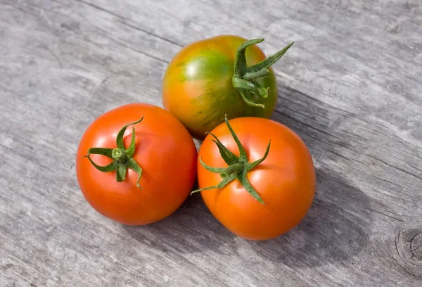 Čerstvá rajčata venkova — Stock fotografie