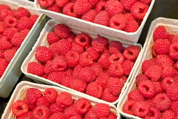 stock image Ripe red raspberries