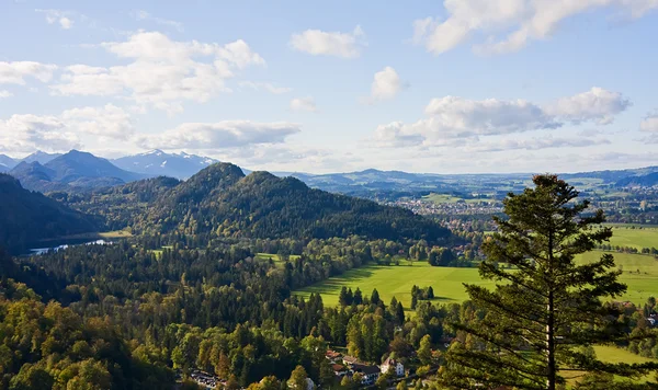 Field and mountain landscape, Bavaria, Germany — Stock Photo, Image