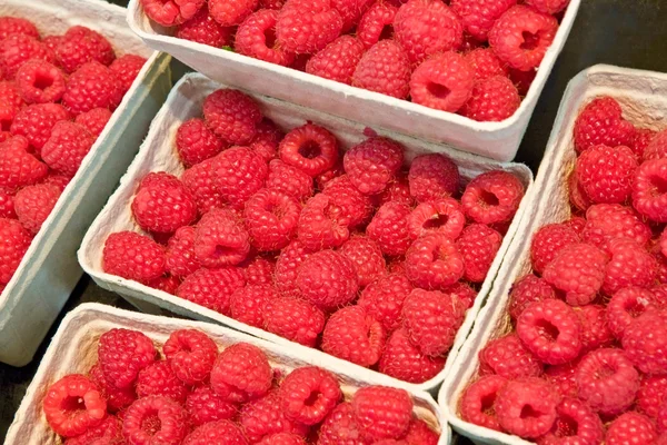 成熟的红树莓 — 图库照片#
