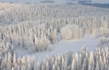 Winter lanscape in Finland clipart