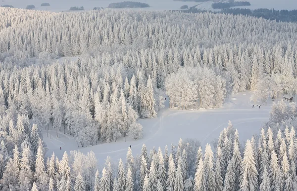 Téli tájkép, Finnország — Stock Fotó