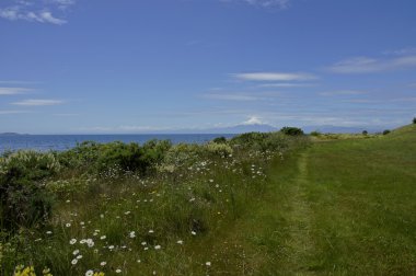 Llanquihue - Osorno