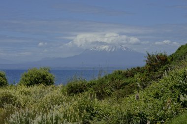 Llanquihue - Osorno