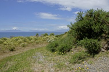 Llanquihue - Osorno