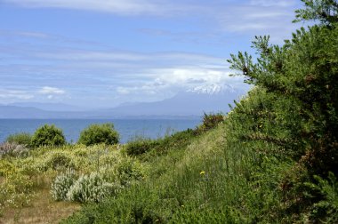 Llanquihue - Osorno