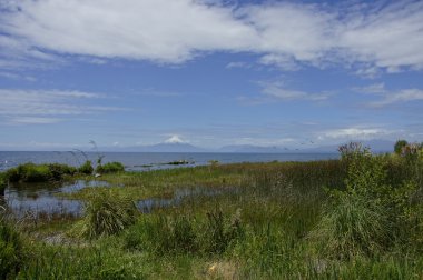 Llanquihue - Osorno