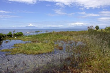 Llanquihue - Osorno