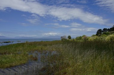 Llanquihue - Osorno