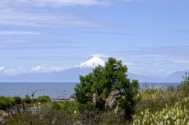 Llanquihue - Osorno