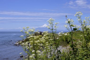 Llanquihue - Osorno