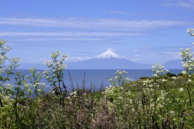 Llanquihue - Osorno