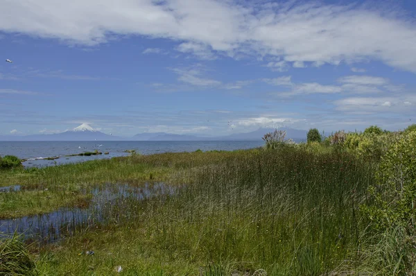 Llanquihue - Osorno — Stok fotoğraf