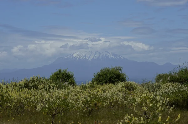 Llanquihue - Osorno — Foto Stock