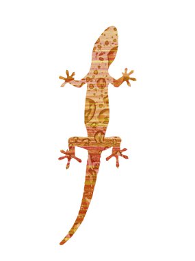 Gecko beyaz