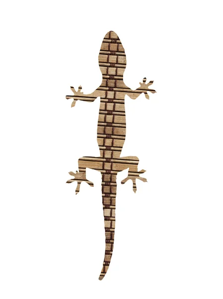 Gecko na biały — Zdjęcie stockowe