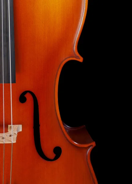 Cello close seup — стоковое фото