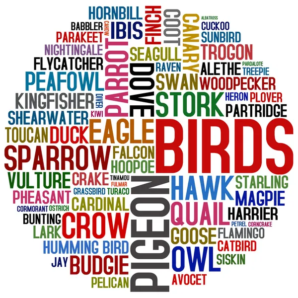 About birds — Stock Photo, Image