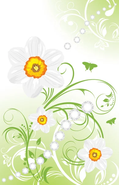 Spring ornamental background with daffodils — Stock Vector