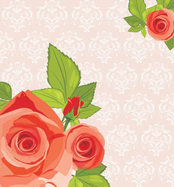 Dekorativní pozadí s červenou růží — Stockový vektor