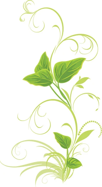 Brindille décorative avec des feuilles isolées sur le blanc — Image vectorielle
