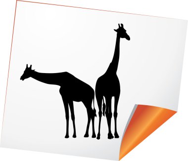 Silhouettes of two giraffes on a paper clipart