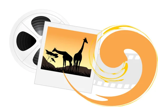 Photo of giraffes and film objects isolated on the white background — Stock Vector