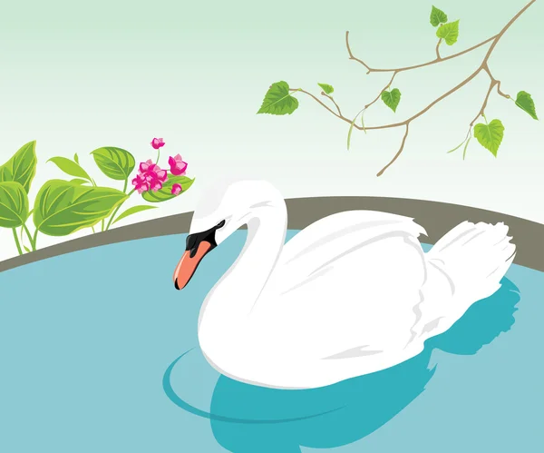 White swan swimming in a pond — Stock Vector