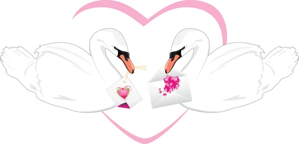 Par de cisnes brancos com cartões festivos em bicos —  Vetores de Stock