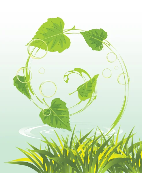 Herbe et tourbillon de feuilles de bouleau. Printemps — Image vectorielle