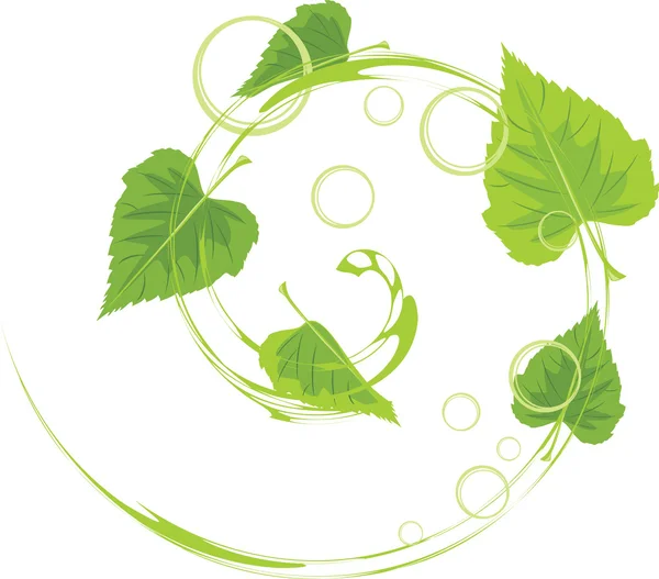 Tourbillon de feuilles et de bulles de bouleau — Image vectorielle