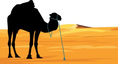 Camel on the background of desert landscape clipart