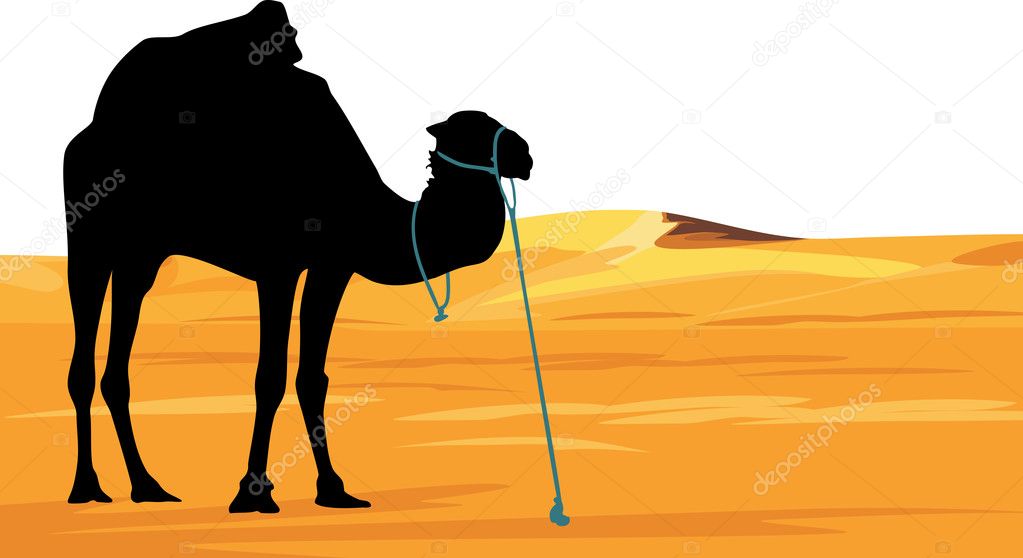 Camel on the background of desert landscape