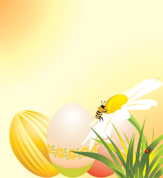 Uova di Pasqua, camomilla con coccinella e ape — Vettoriale Stock
