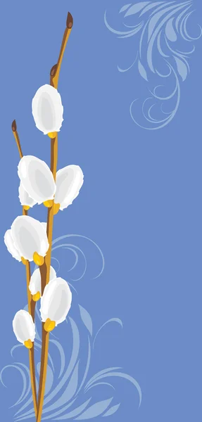Chatte branche de saule sur le fond décoratif — Image vectorielle