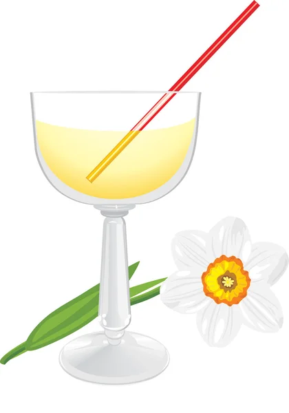 Daffodil and wine glass — Stock Vector