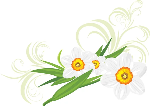 Daffodils with decorative sprigs — Stock Vector