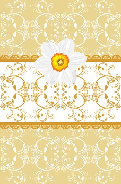 Ornamental background with daffodil — Stock vektor