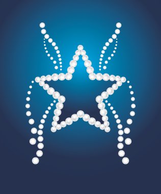 Shining star on the dark blue background clipart