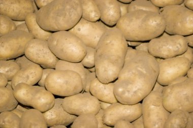 Patatoes