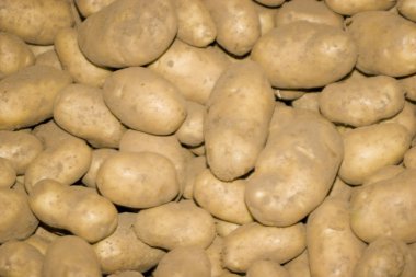 Patatoes clipart