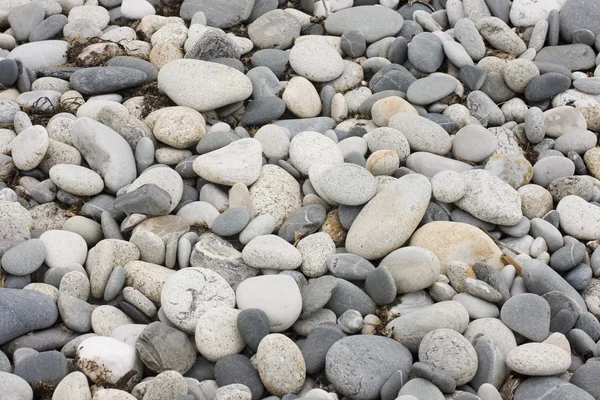 Spiaggia di ciottoli — Foto Stock