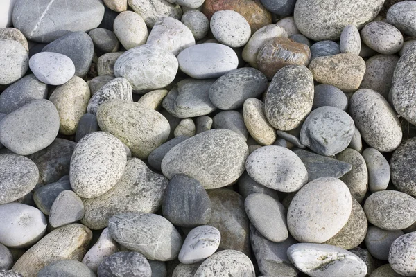 Spiaggia di ciottoli — Foto Stock